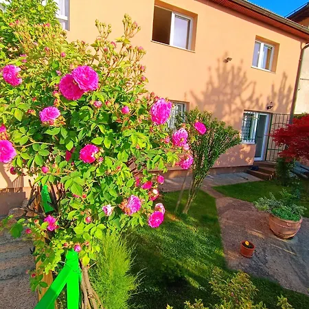 Garden Apartment