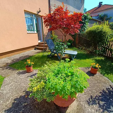 Garden *