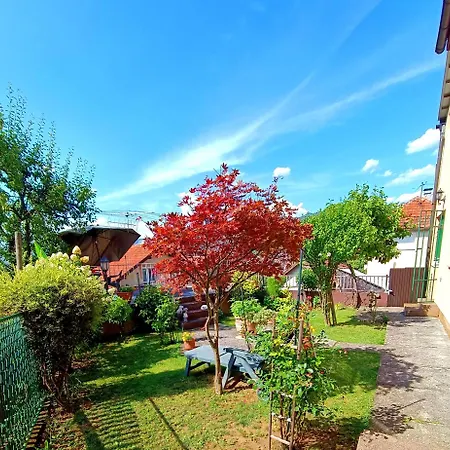 Garden Apartment *