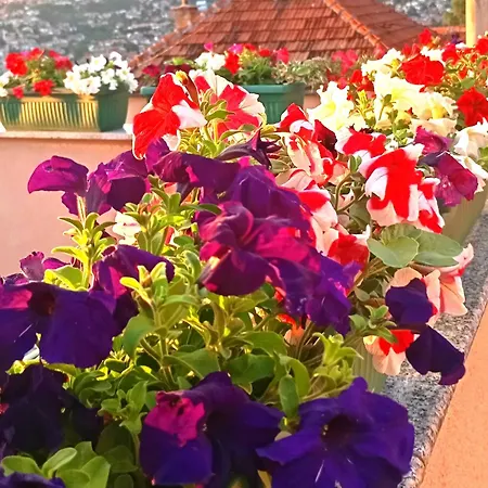 Garden Sarajevo