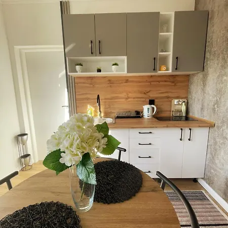 Apartamento Ida Free Parking Sarajevo