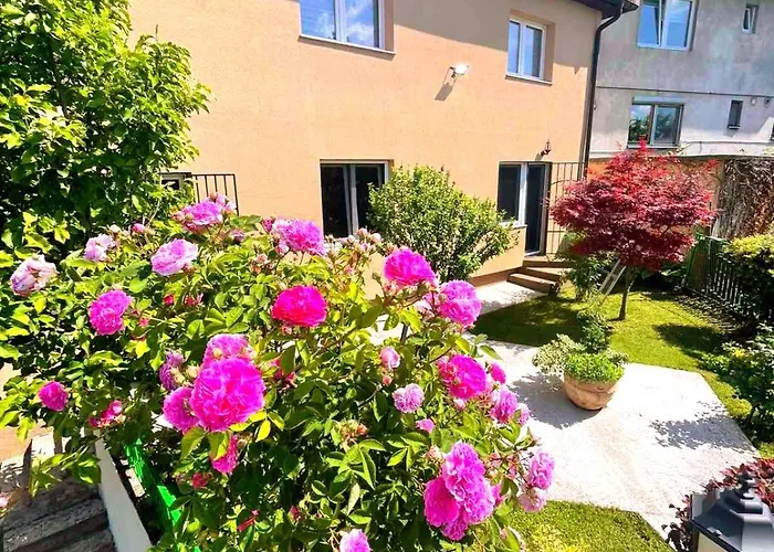 Garden Free Parking Sarajevo